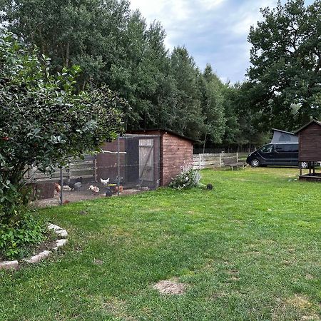 Villa Zamieszkaj Na Wsi Blisko Warszawy Borucza Esterno foto